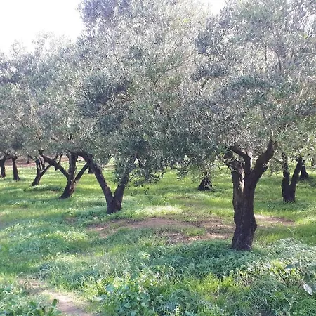 Tenuta Trovante לינה וארוחת בוקר